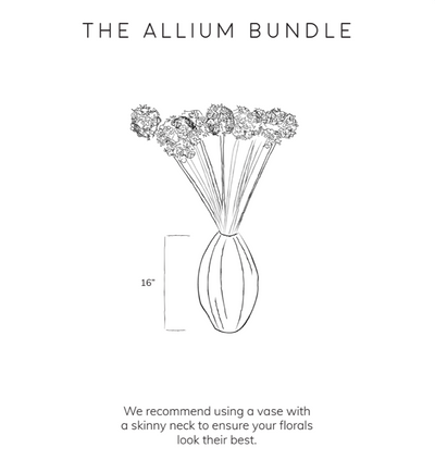 Allium Bundle - Purple