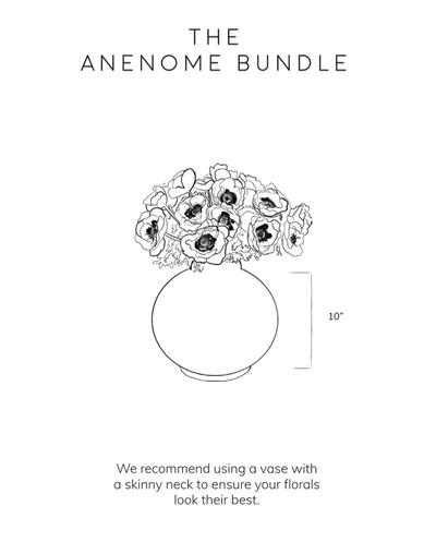Anemone Bundle - Cream