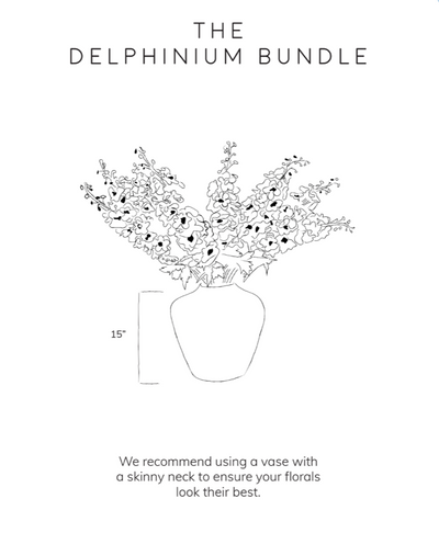 Delphinium Bundle