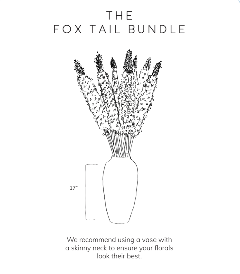 Foxtail Bundle