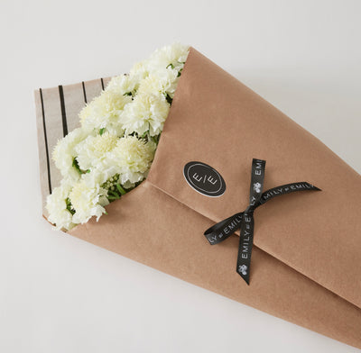 Scabiosia Bundle - White