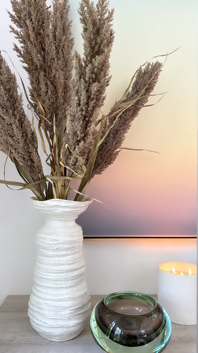 Pampas Grass