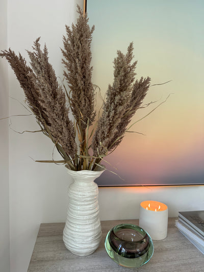 Pampas Grass