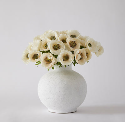 Anemone Bundle - Cream