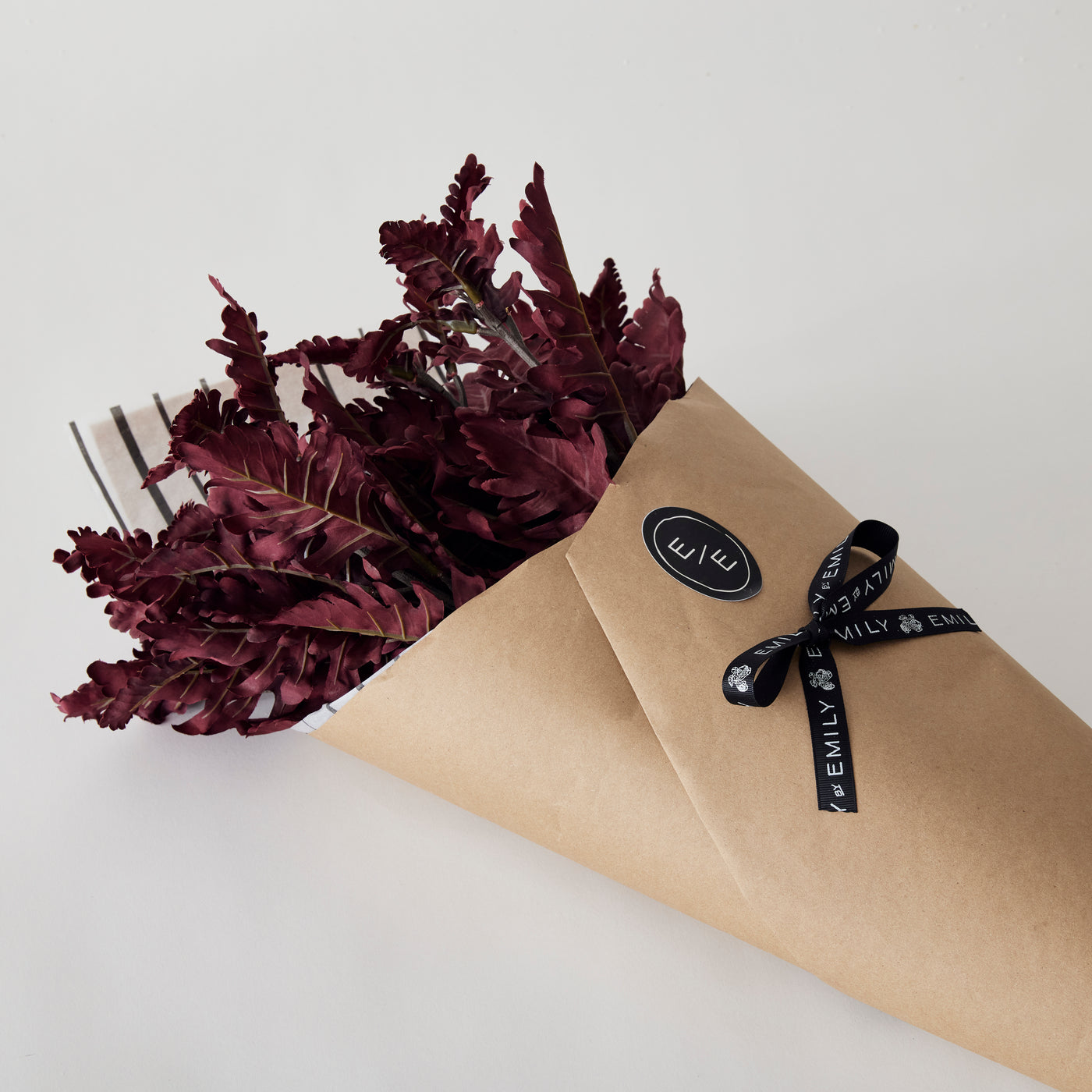Dusty Miller Bundle