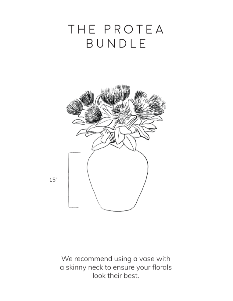 Protea Bundle - Lavender
